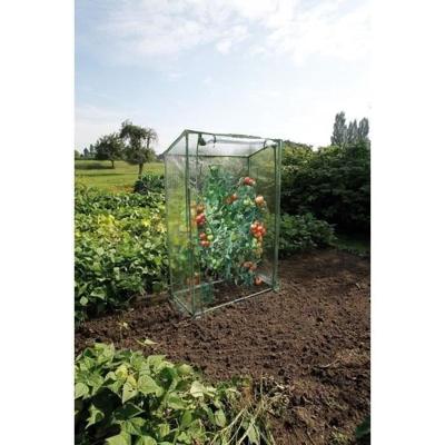 NATUUR Tomatenserre - H150 x 100 x 50 cm