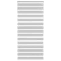 Zebra rolgordijn 100x200 cm stofbreedte 95,9 cm lichtgrijs
