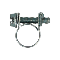 pgb-Europe PGB-FASTENERS | Mini slangklem W1 (9mm) 11-13 0MSLKLW10110133