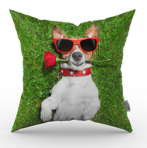 Valentijn kussen Hond - Pillow Buddies