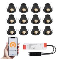 Set van 12 Medina Smart LED Mini Inbouwspots - Veranda spots - 12V 3W 150lm - Dimbaar - Kantelbaar - Wifi & Bluetooth - 2700K - IP44 - Zwart