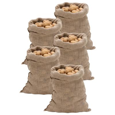 VidaXL Jutezakken 5 stuks 220 g/m² 60x105 cm 100% jute