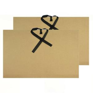 Kangaro tekeningenmap opbergmap A4 formaat - 2x - 500 grams - karton - beige