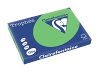Clairefontaine Trophée Intens, gekleurd papier, A3, 120 g, 250 vel, grasgroen