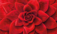 Bloemblaadje ontwerp vinyl tapijt rood