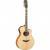 Yamaha APX1000 Natural elektrisch-akoestische westerngitaar Yamaha APX1000 Natural elektrisch-akoestische westerngitaar