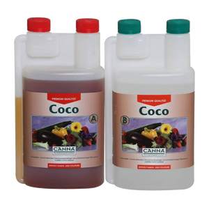 Canna Canna Coco