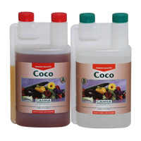 Canna Canna Coco