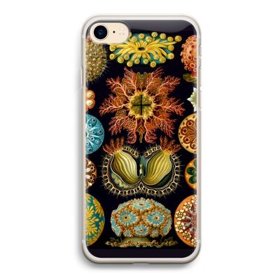 Haeckel Ascidiae: iPhone 7 Transparant Hoesje