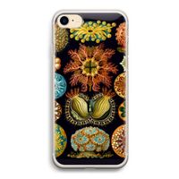 Haeckel Ascidiae: iPhone 7 Transparant Hoesje
