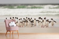 Vlies fotobehang Penguins - thumbnail