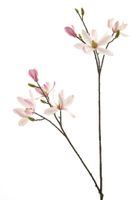 Magnolia spray cassablanca roze 102cm - thumbnail