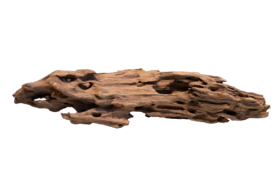 Superfish Honeycomb wood large Superfish Honeycomb wood large