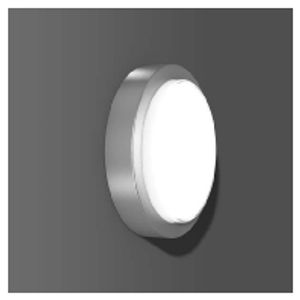 RZB Cadero Disca Buitengebruik muur-/plafondverlichting LED Metallic, Zilver E