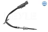 Sensor, uitlaatgastemperatuur 5348000015