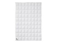 Fjödur Donzen zomer dekbed licht (200 x 200 cm)