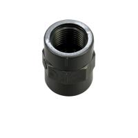 HoZelock Sok 3/4 Inch Binnendraad - Weerbestendig Vijversysteem Koppelstuk, Makkelijk Installatie