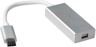 USB-C naar Mini DisplayPort female adapter ACT SB0021