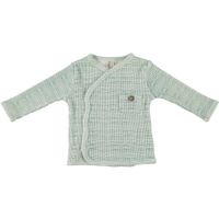 B*E*S*S baby gestreepte longsleeve groen/wit - thumbnail