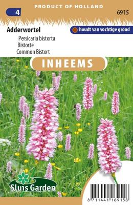 Inheemse Persicaria bistorta Adderwortel zaden