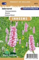Inheemse Persicaria bistorta Adderwortel zaden