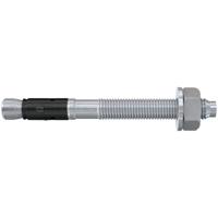 Fischer Doorsteekanker FAZ II 12/10 Verzinkt Staal VE=20 - 95419
