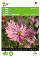 Zaden cosmea apricotta 30 zaden - Buzzy
