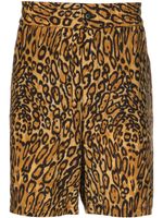 Moschino short à imprimé animalier - Tons neutres - thumbnail