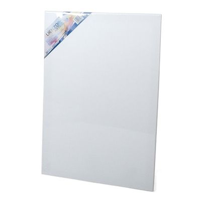 Canvas schildersdoek - 60 x 40 cm - voor hobby verven/schilderen