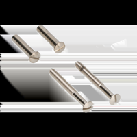 AMI Patentbout Compleet M4*55 Schroef + Huls Verpakt Per 10 In Zakje - 900117
