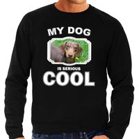 Teckel honden sweater / trui my dog is serious cool zwart voor heren - thumbnail