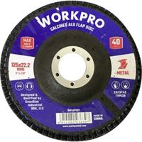 WorkPro WP407521 Lamellenschuurschijf Diameter 125 mm Boordiameter 22.2 mm 10 stuk(s)