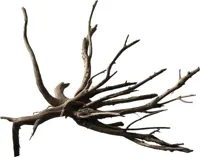 Superfish Black Spiderwood M