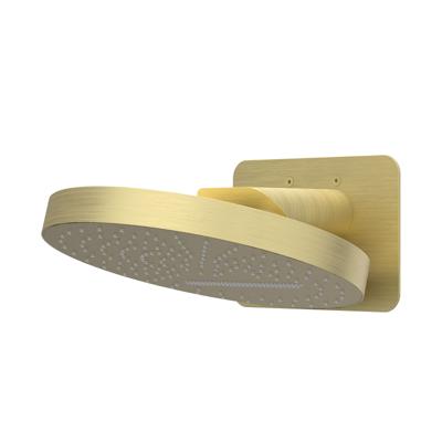 Hoofddouche IVY HALO Wandmodel Inc. Wandbeugel en Inbouwbox 32 cm Geborsteld Mat Goud PVD Hoofddouche IVY HALO Wandmodel Inc. Wandbeugel en Inbouwbox 32 cm Geborsteld Mat Goud PVD