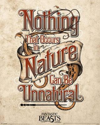Poster Fantastic Beasts Unnatural 40x50cm