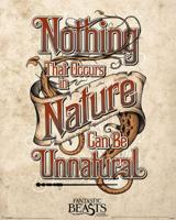 Poster Fantastic Beasts Unnatural 40x50cm