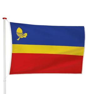 Vlag Waalre