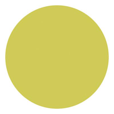 Creativ Company Textile color dekkende textielverf - kiwi, 250ml