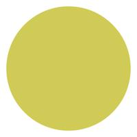 Creativ Company Textile color dekkende textielverf - kiwi, 250ml