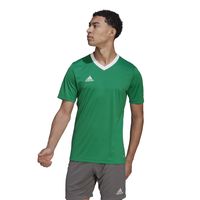 adidas Entrada 22 Voetbalshirt Groen Wit