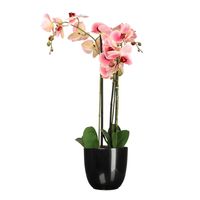 Orchidee kunstplant roze - 75 cm - inclusief bloempot zwart glans - thumbnail