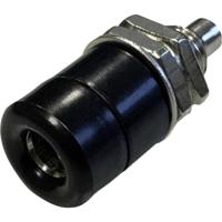 BKL Electronic 072307 Laboratoriumbus Bus, inbouw verticaal Stift-Ø: 4 mm Zwart 1 stuk(s) BKL Electronic 072307 Laboratoriumbus Bus, inbouw verticaal Stift-Ø: 4 mm Zwart 1 stuk(s)