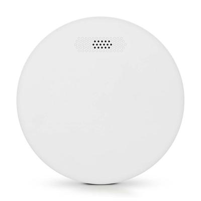 Alecto SA300 - Compacte design rookmelder met 10 jaar batterij