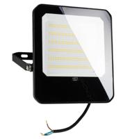 LED&apos;s Light Buitenlamp schijnwerper 14000 - voor binnen en buiten - 100W