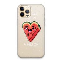 One In A Melon: iPhone 13 Pro Max Transparant Hoesje