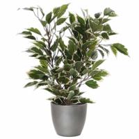 Mica Decorations Ficus kunstplant - groen - 40 cm - met plantenpot - zilver - D13.5 en H12.5 cm