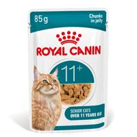 Royal Canin FHN Ageing 11+ in Jelly (gelei) natvoer kat 12 x 85 gram