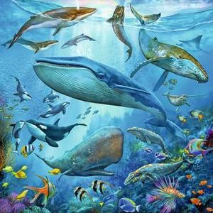 Ravensburger Kinderpuzzel 3x49 stukjes Dieren in de oceaan