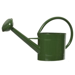 Decoris Gieter - voor binnen/buiten - groen - zink - 5 liter - voor binnen/buiten