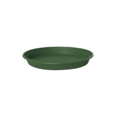 Schotel universeel d19 cm groen - Florus